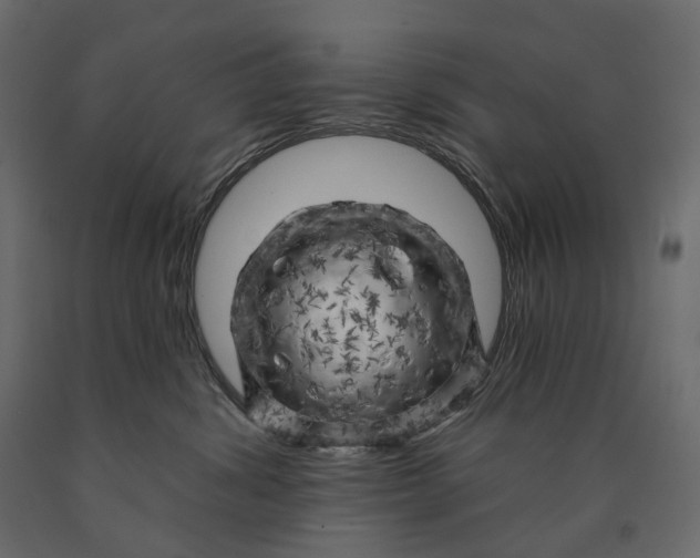 X0000090440428200708031158