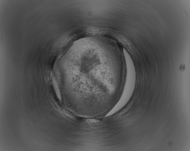 X0000090440429200708031158