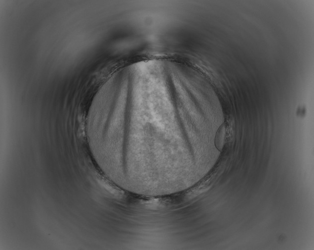 X0000090440430200708031158