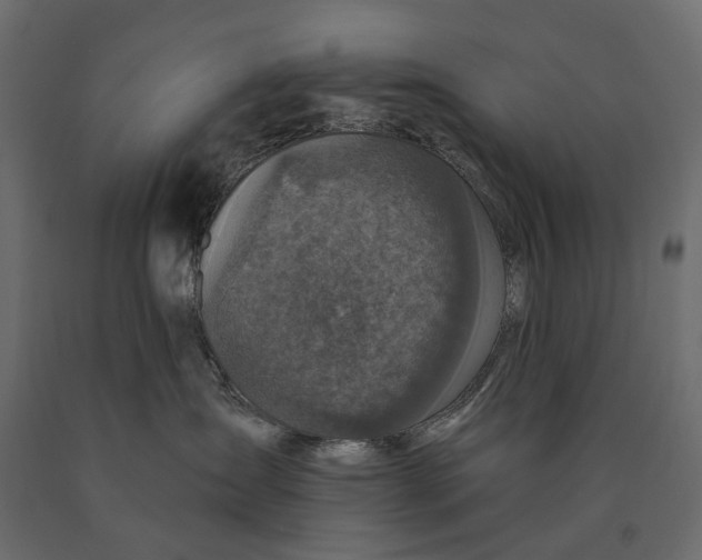 X0000090440431200708031158