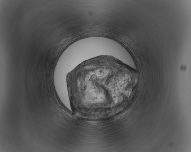 X0000090440432200708031158