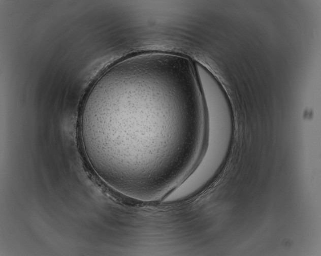 X0000090440434200708031157