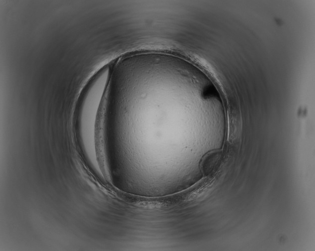 X0000090440435200708031157