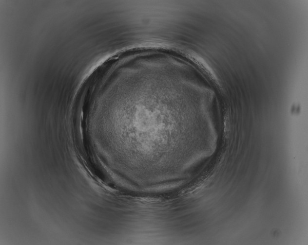 X0000090440436200708031157