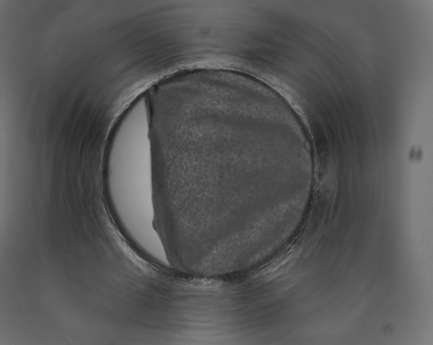 X0000090440437200708031157