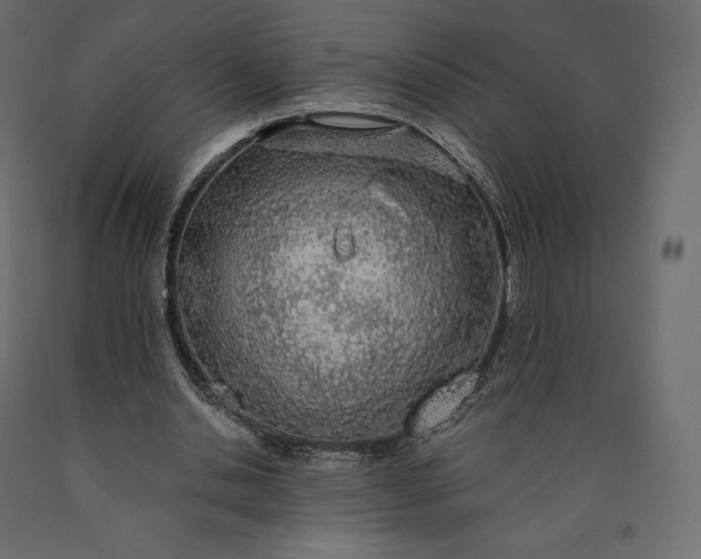 X0000090440438200708031158