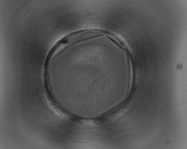 X0000090440439200708031158