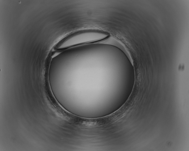 X0000090440440200708031158