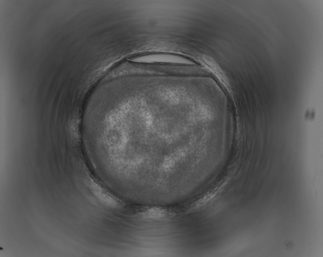 X0000090440441200708031158