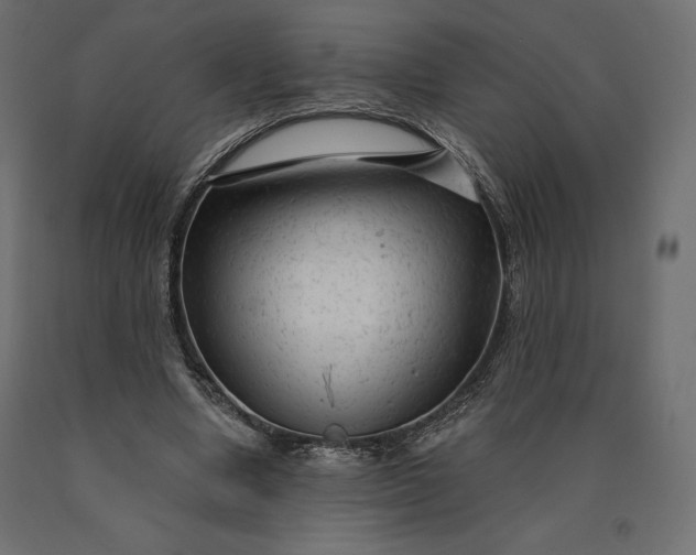 X0000090440442200708031158