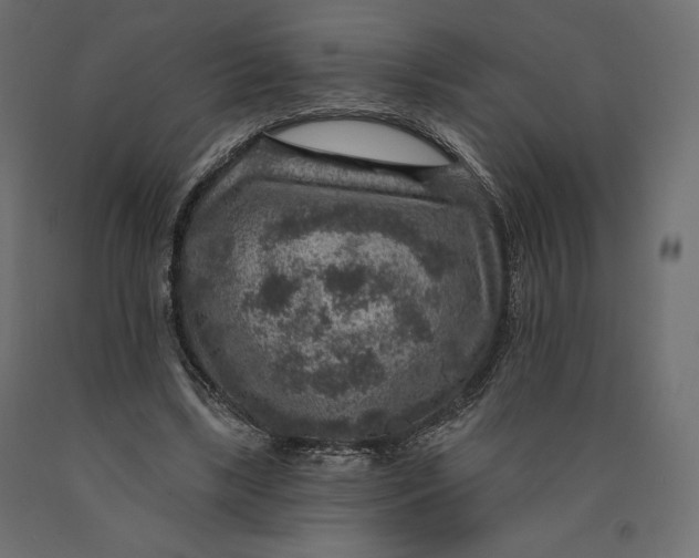 X0000090440443200708031158