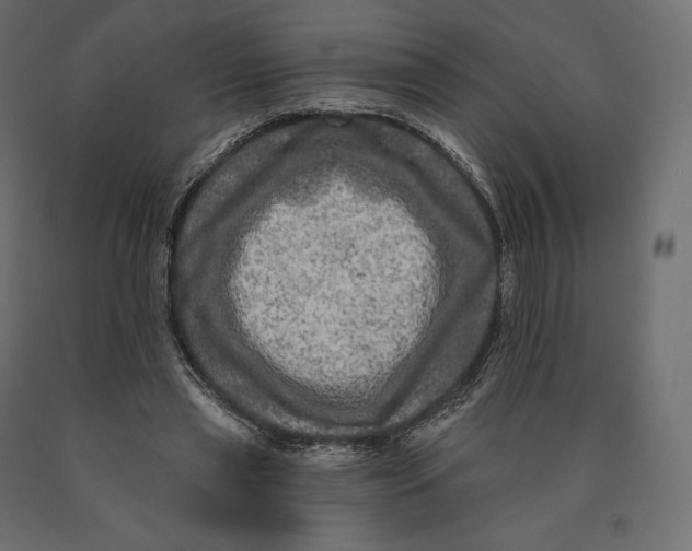 X0000090440445200708031158