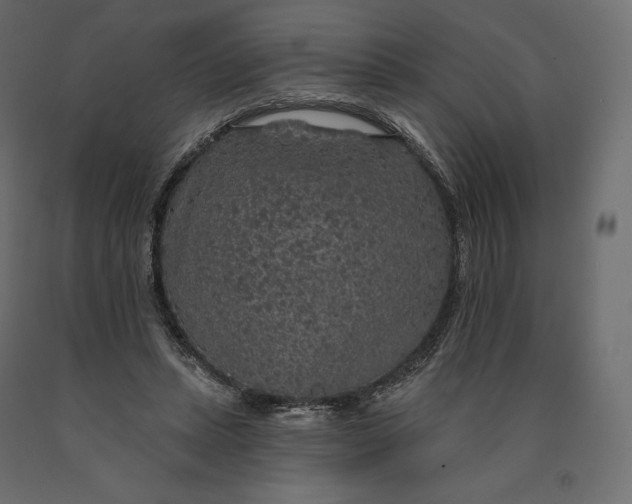 X0000090440447200708031158