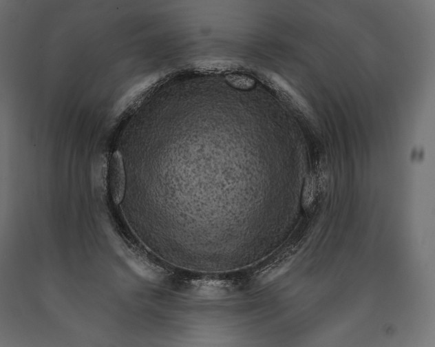 X0000090440448200708031158