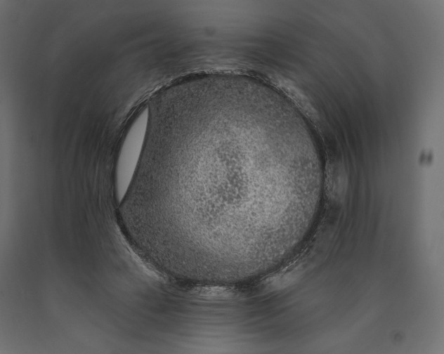 X0000090440449200708031158