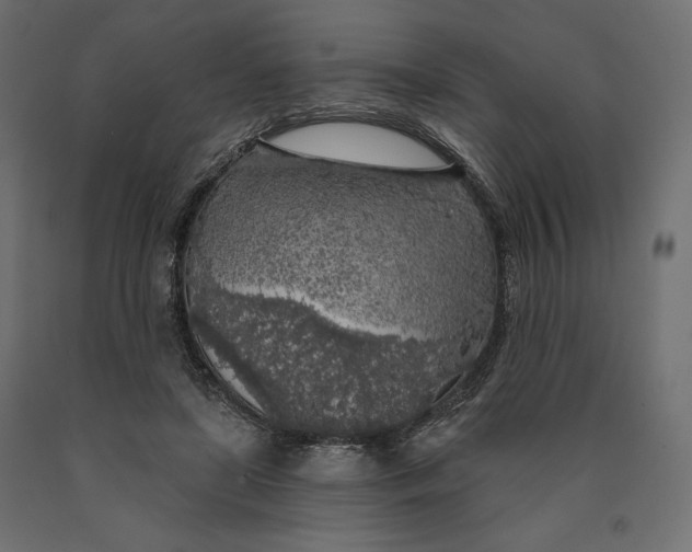 X0000090440451200708031158