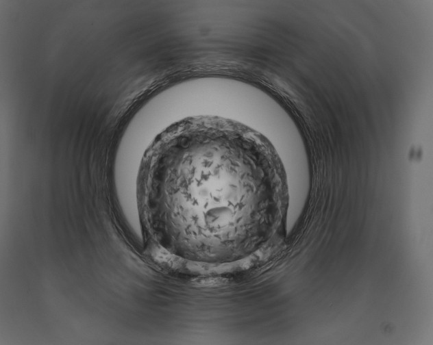 X0000090440452200708031158