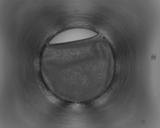 X0000090440453200708031158