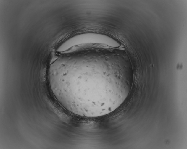 X0000090440454200708031158