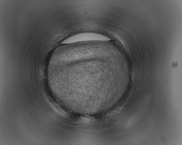 X0000090440455200708031158