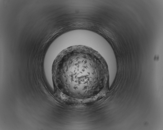 X0000090440456200708031158