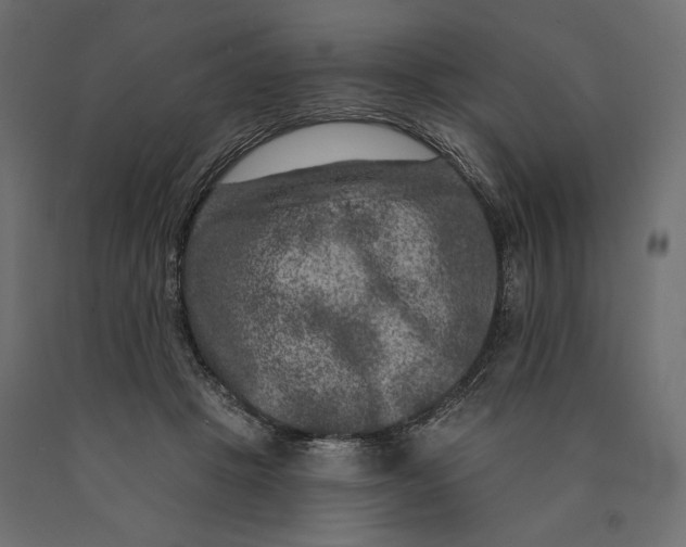 X0000090440457200708031158