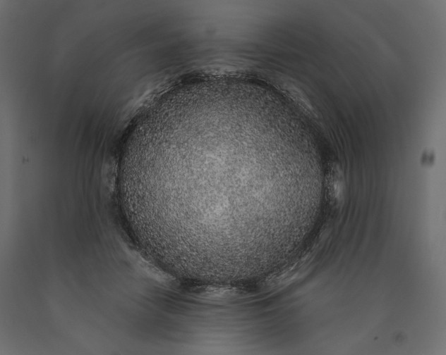 X0000090440458200708031158