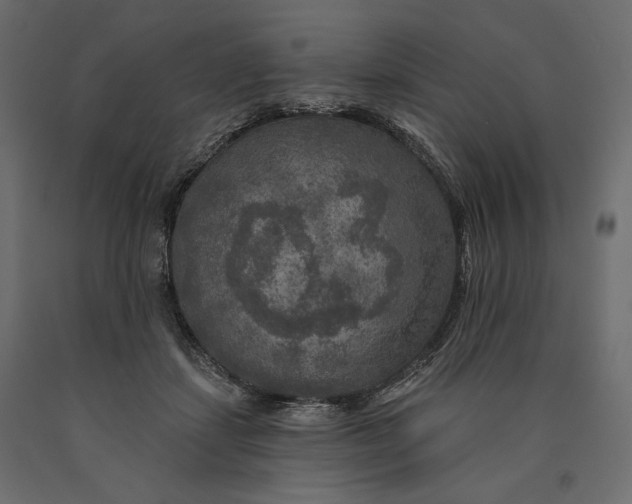 X0000090440459200708031158