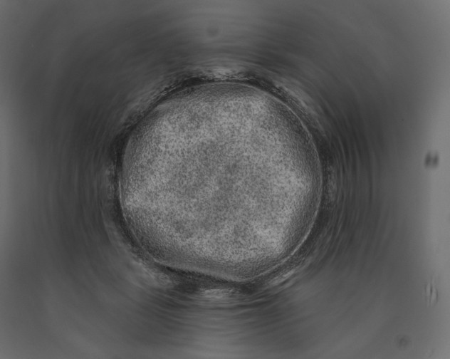 X0000090440461200708031158