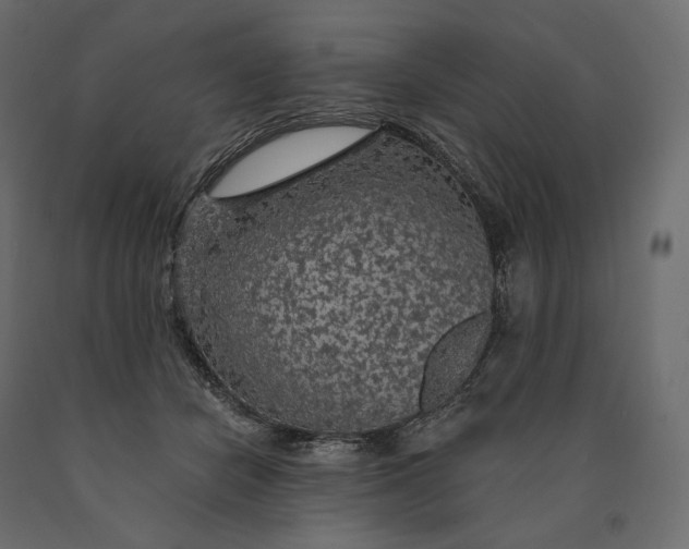 X0000090440462200708031158