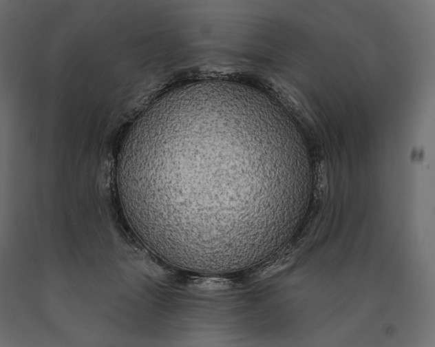 X0000090440463200708031158