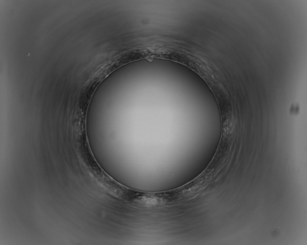 X0000090440464200708031158