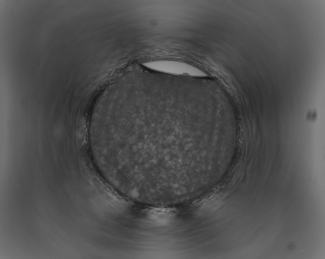 X0000090440465200708031158