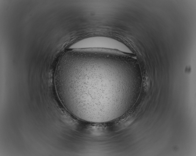 X0000090440466200708031158