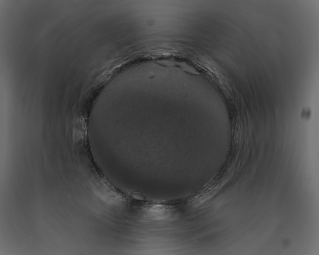 X0000090440467200708031158