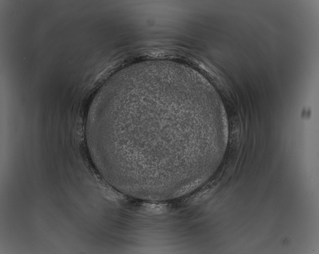 X0000090440469200708031158