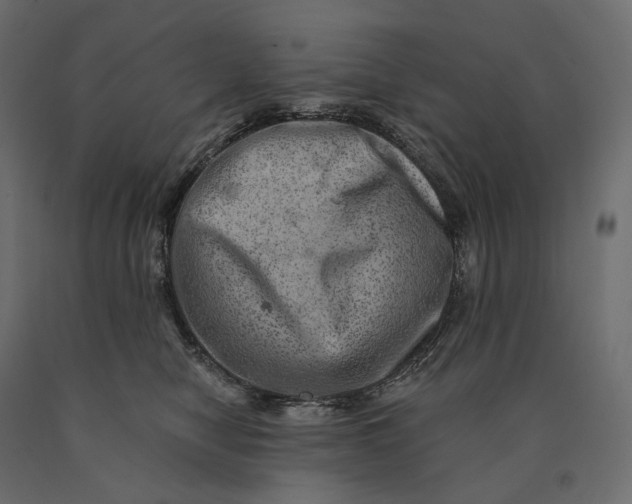 X0000090440470200708031158