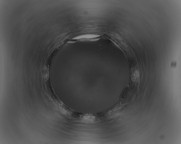 X0000090440471200708031158