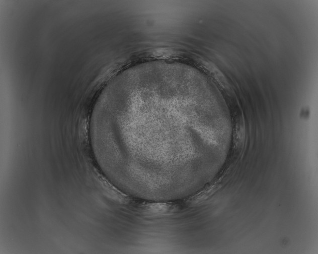 X0000090440473200708031158