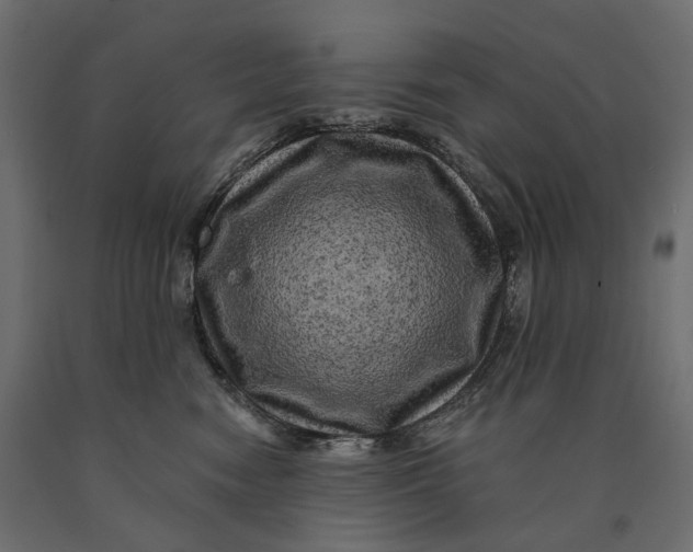 X0000090440474200708031158