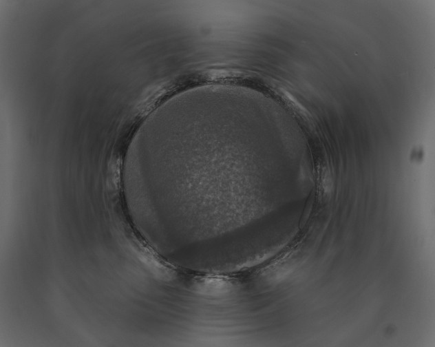 X0000090440475200708031158