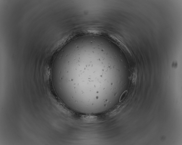 X0000090440476200708031158