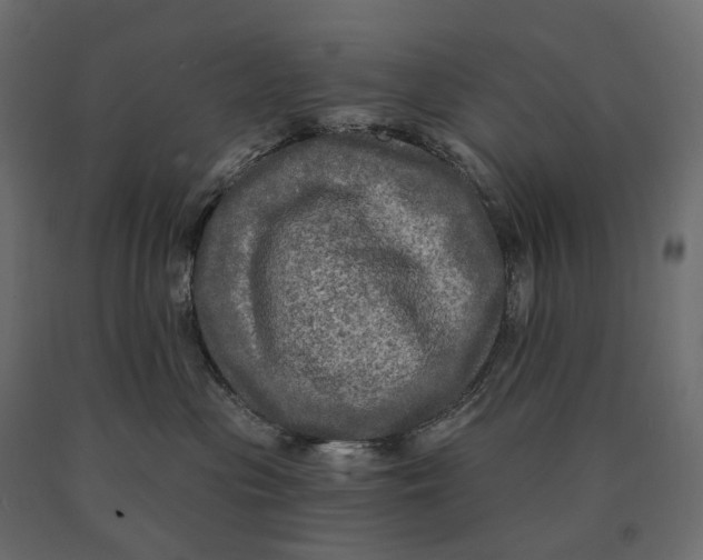 X0000090440477200708031158