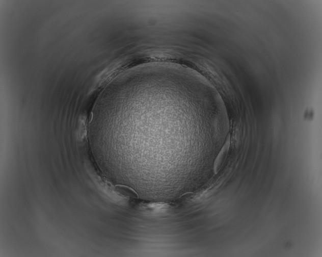 X0000090440478200708031158