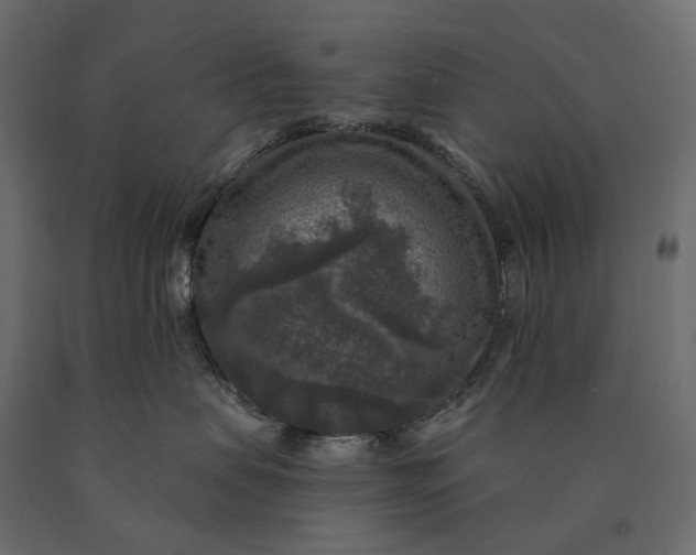 X0000090440479200708031158