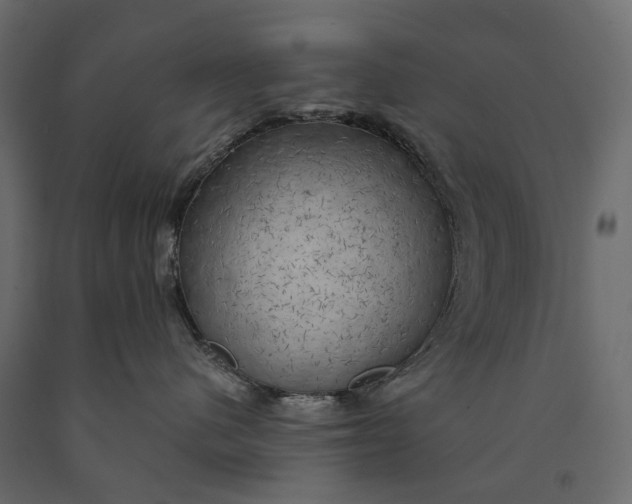 X0000090440480200708031158