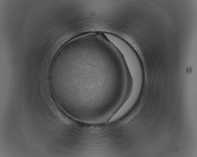 X0000090440481200708031157