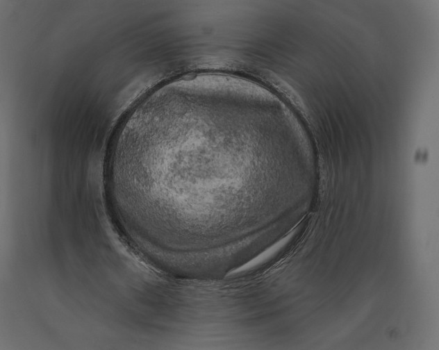 X0000090440482200708031157