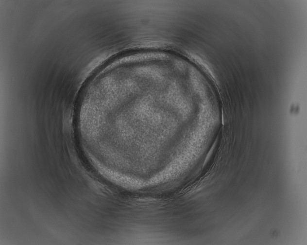 X0000090440483200708031157