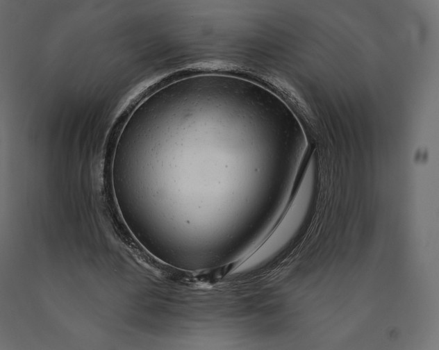 X0000090440484200708031157